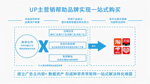 B站廣告投放全攻略 代理合作與效果廣告案例詳解